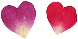 Queenbox 20 бр 1-2 см във формата На Сърце Истински Сушени Розови Цветя, Естествени Сухи Цветя за Извършване на Работи от Смола