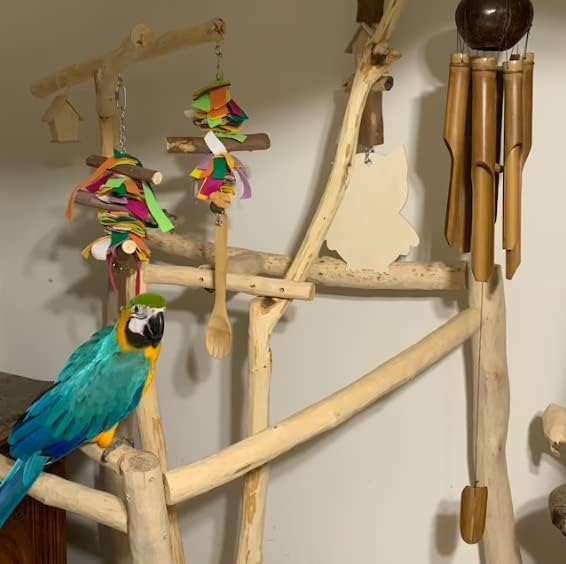 Поставка за папагали ExoticDad XS - Персонализиране на вашия курник Специално разработена Поставка за костур от естествен Драконьего