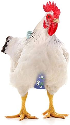 Пелена за Пиле на OTVORKO BRIDAL, Пелена за домашни любимци за Пиле-Пиле, Регулируема Моющийся на Пелените за многократна употреба