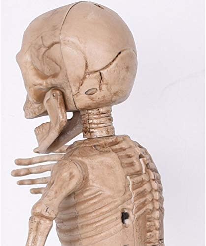 Хелоуин Нажежен Играчка Череп на Тялото, Подвижни Ставите, Изкуствен Човешки Скелет, Декорация във формата на Череп на Хелоуин (Без