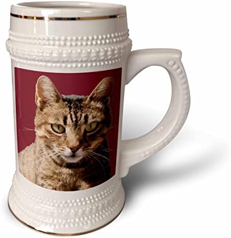 Триизмерен портрет Сладък раирана котка с пряко визуално контакт във векторен вид. - чаша за стейна на 22 унция (stn-361202-1)