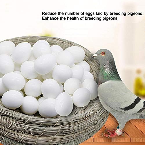 Huwaimi 13 г Твърди Пластмасови яйца-пустышек за Състезателни гълъби (Бяла 10 бр.)